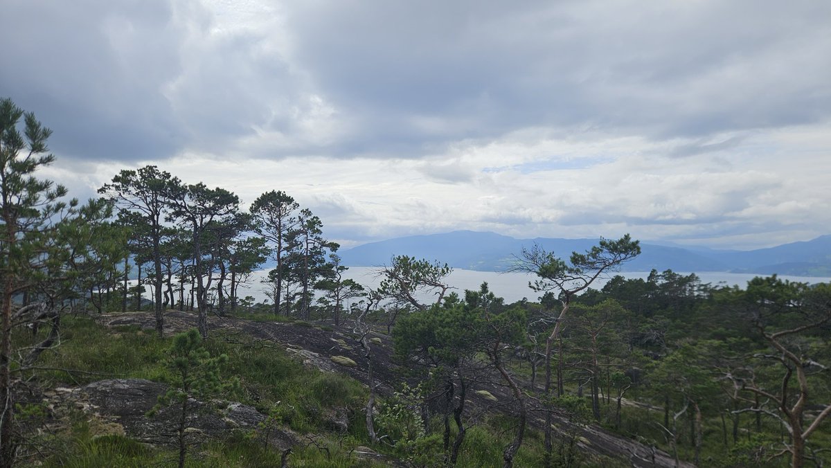 hocekm's tweet image. Maelen, Norway