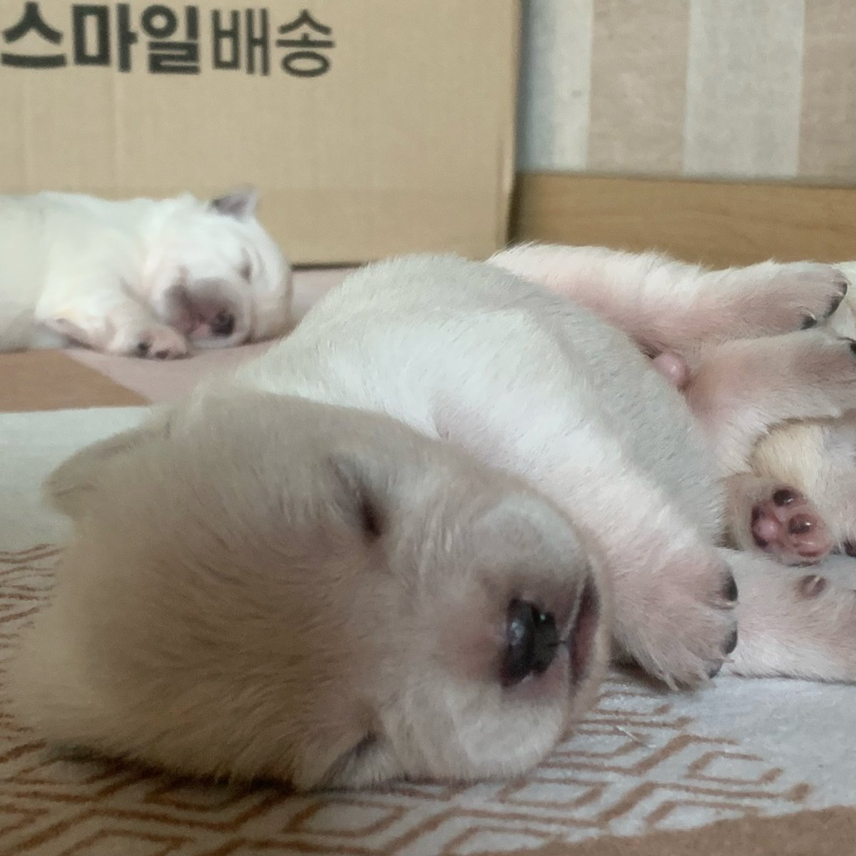 aboutkori's tweet photo. 김승윤 https://t.co/ImpIiVhvRB