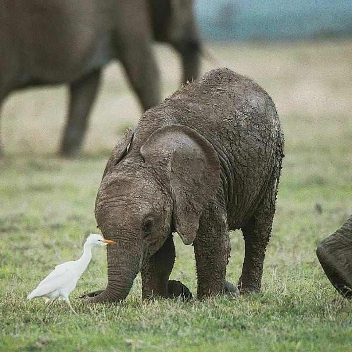 vivaneil (@vivaneil1234) on Twitter photo 