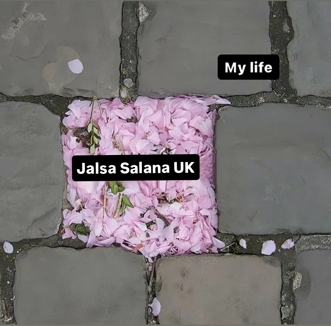 blunt ayesha tweet media