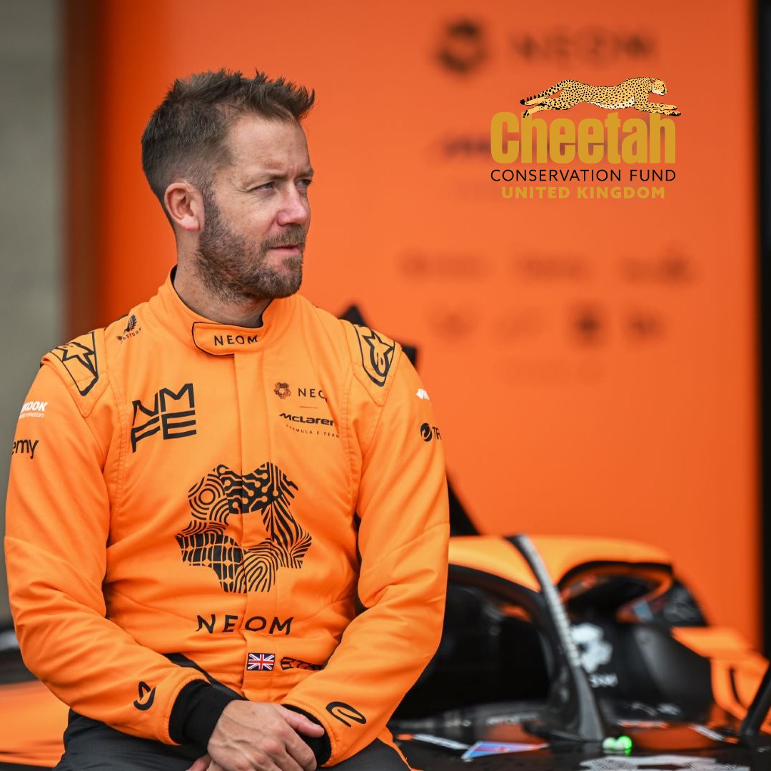 CCFCheetahUK's tweet image. Our ambassador, Sam Bird (@sambirdofficial), is back in action as @FIAFormulaE hits London this weekend! Wishing him the best of luck – we know you'll be fast like a cheetah!