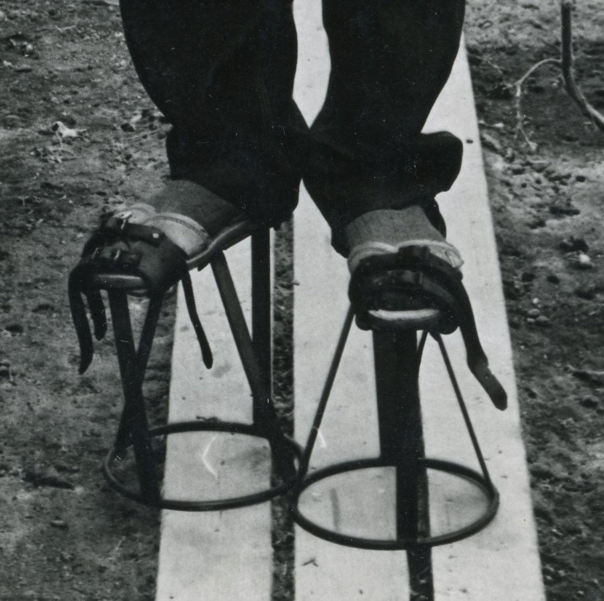 The Priaulx Library, Guernsey tweet media