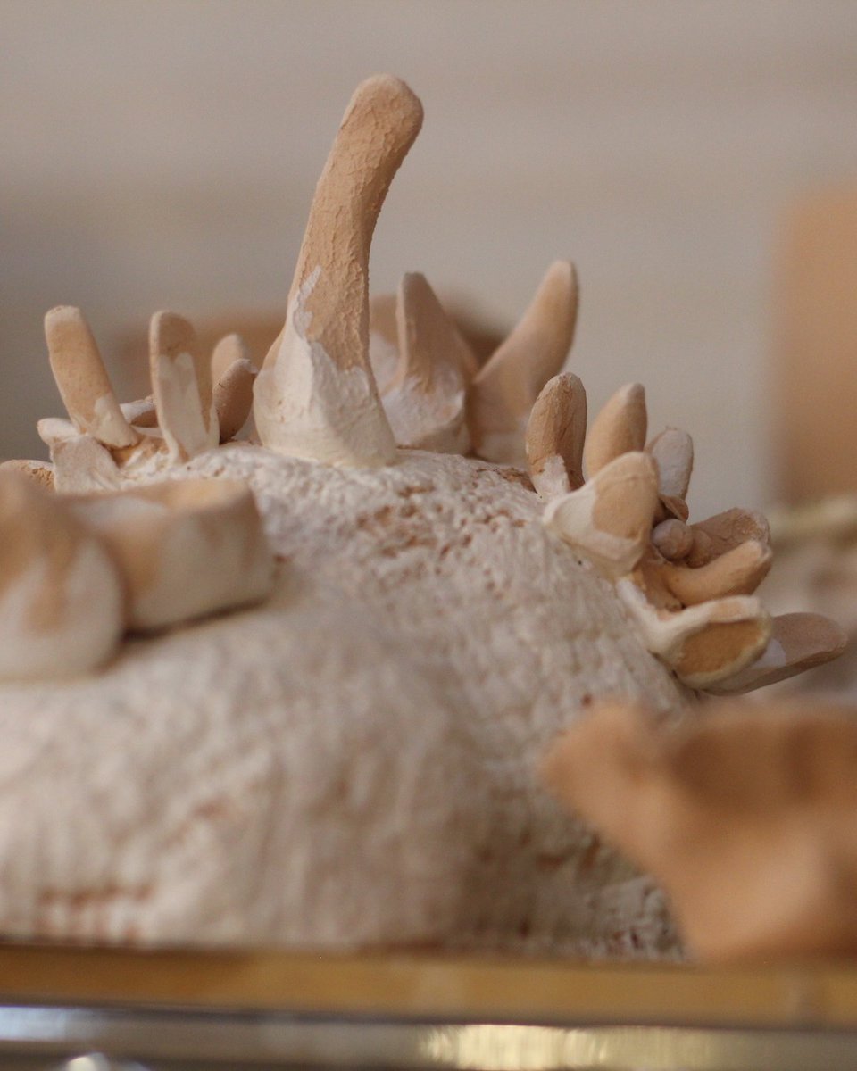 asomarte's tweet image. Este próximo viernes 1 de agosto, te invitamos a la inauguración de ECOS DE UN MUNDO LEJANO, exposición escultórica organizada por Estudio Micelio.
📆 Viernes 1 de agosto de 2025
📍 Centro de Arte Emergente (Gonzalo Río Arronte s/n, col. Villas del Sur, Querétaro)
⌚️19:30h