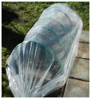 Gardeners' Corner at Calgary Horticultural Society - mailchi.mp/calhort/garden…
Did you know that you can still start seeds? Read about it in the e-news. Subscribe: bit.ly/3mFnHMn Oh, with August coming, it time to locate the frost covers.