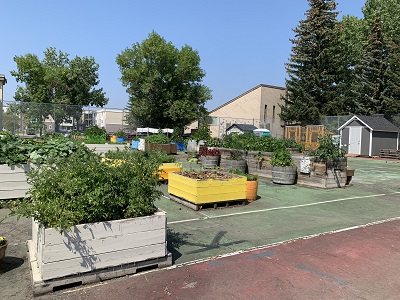 Gardeners' Corner at Calgary Horticultural Society - mailchi.mp/calhort/garden…