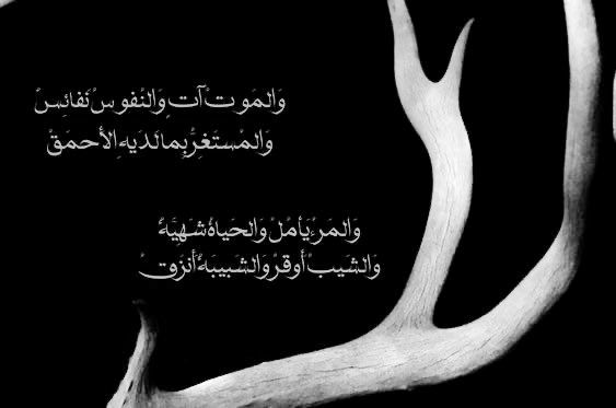 𝑇𝘩𝑒𝑜𝑟𝑖𝑎 tweet media