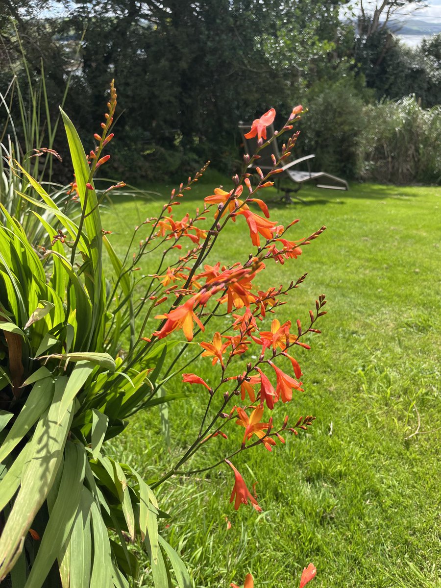 tim deasy tweet media