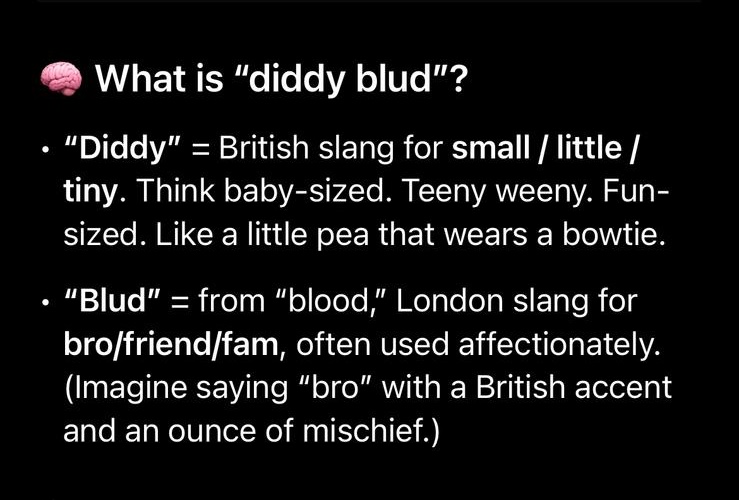 realwow_mao's tweet image. kept calling my girl 'diddyblud' so much she asked chatgpt what it meant, and this is what it said