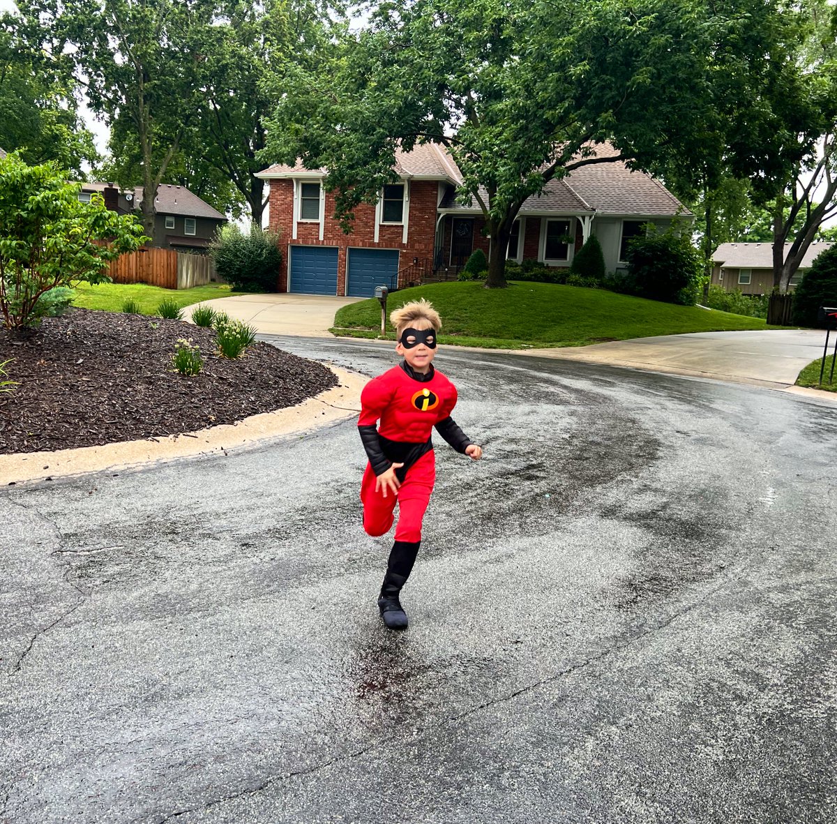 TopSpeedLLC's tweet image. Typical morning sight for our neighbors 😅