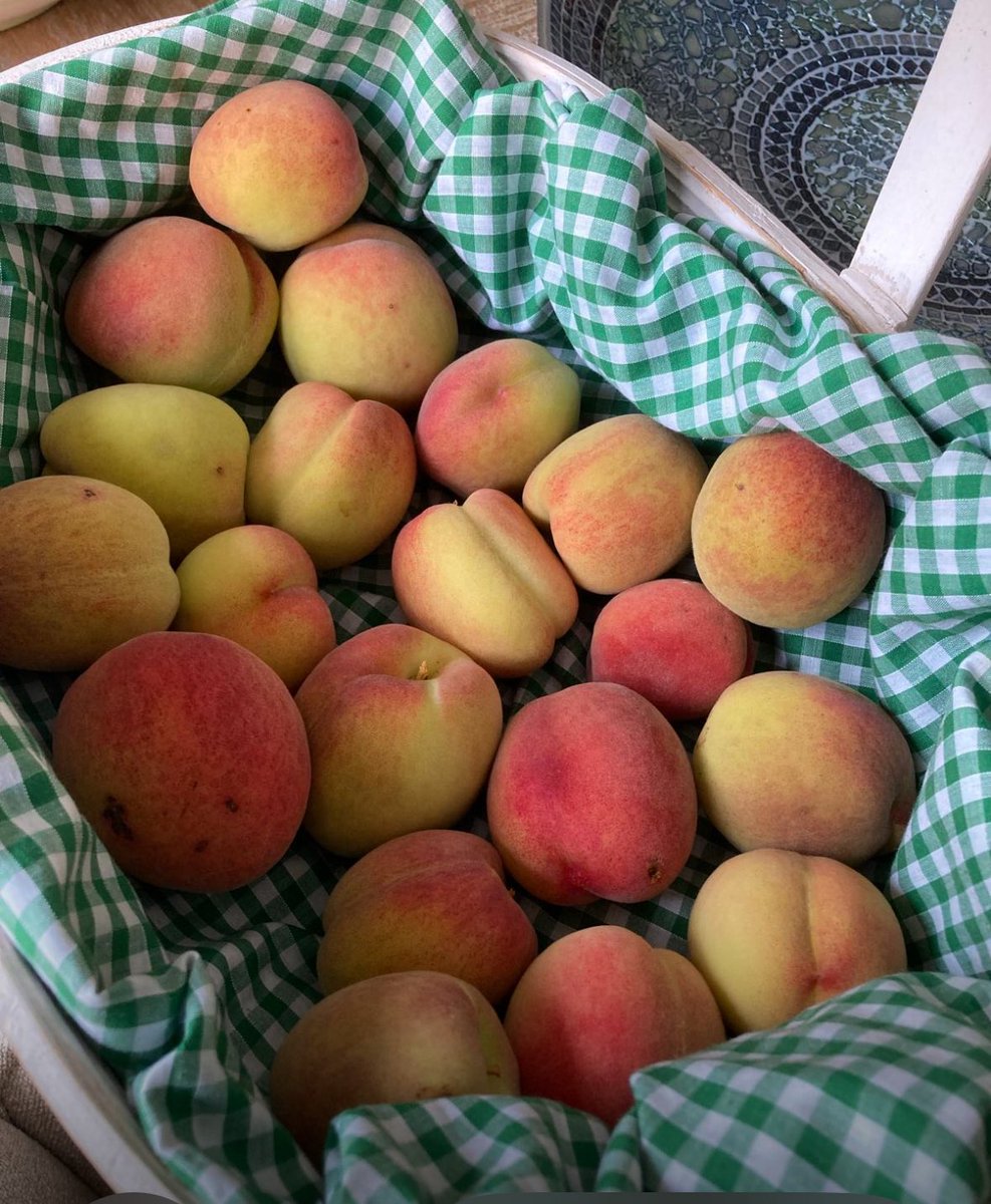 Jean Lord tweet media