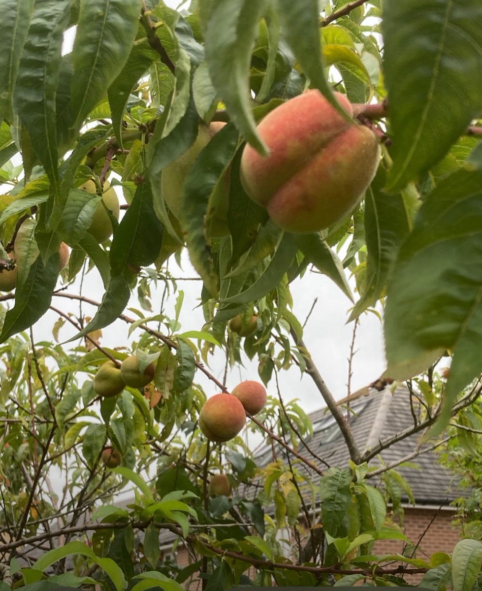 Jean Lord tweet media