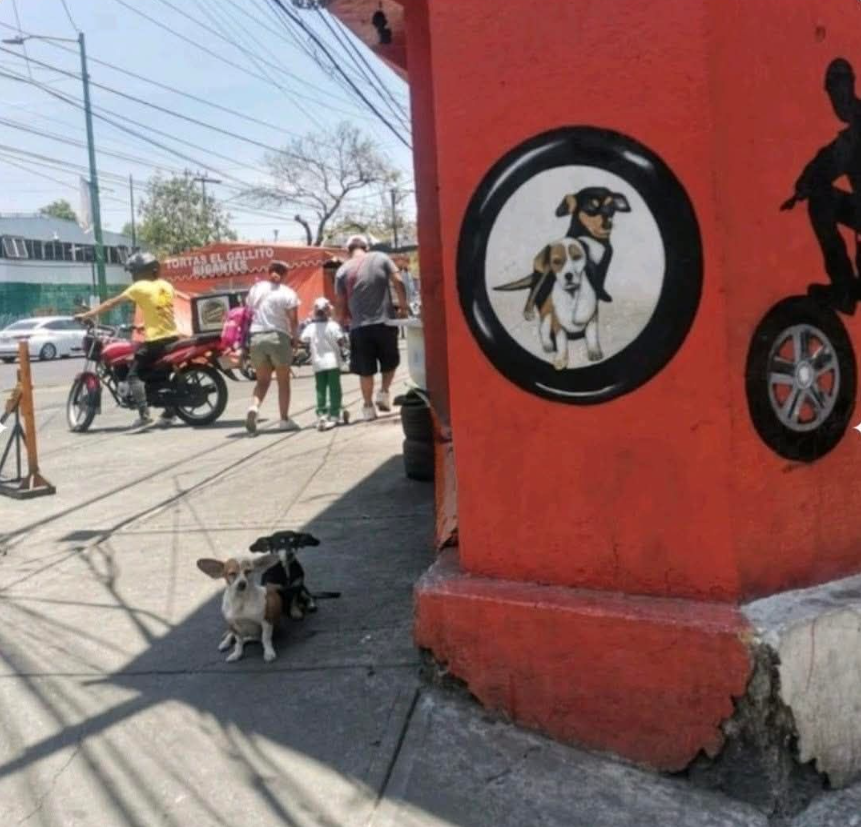 Fuí a parchar una llanta y me encontre al CEO y al fundador de la empresa...