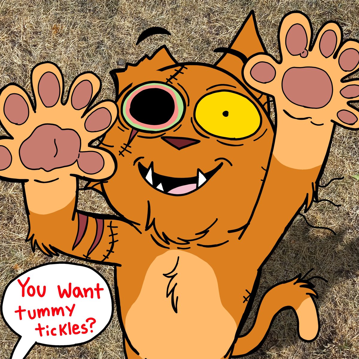 macho_199's tweet image. Frankenstein cat