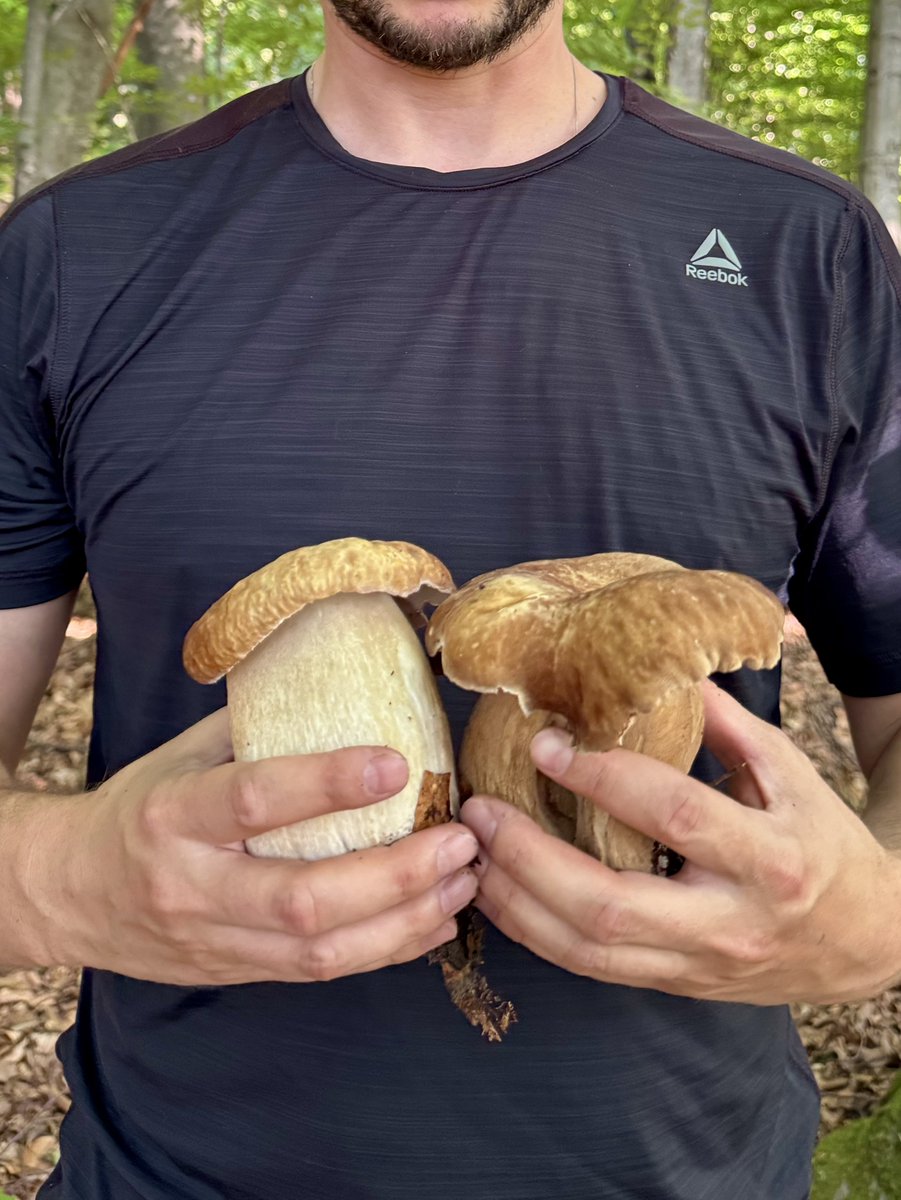 Назбирали грибів 🍄‍🟫