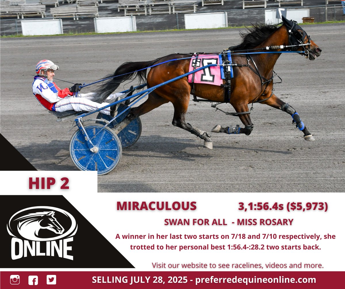 Selling Monday on Preferred Equine Online!

✨Here is a gorgeous three-year-old trotting filly by SWAN FOR ALL. She is the first foal from a half-sister to the $1.9 million dollar winner WILL TAKE CHARGE!

⬇️See pedigree, race lines, videos, &amp; more⬇️
bit.ly/0728MIRACULOUS