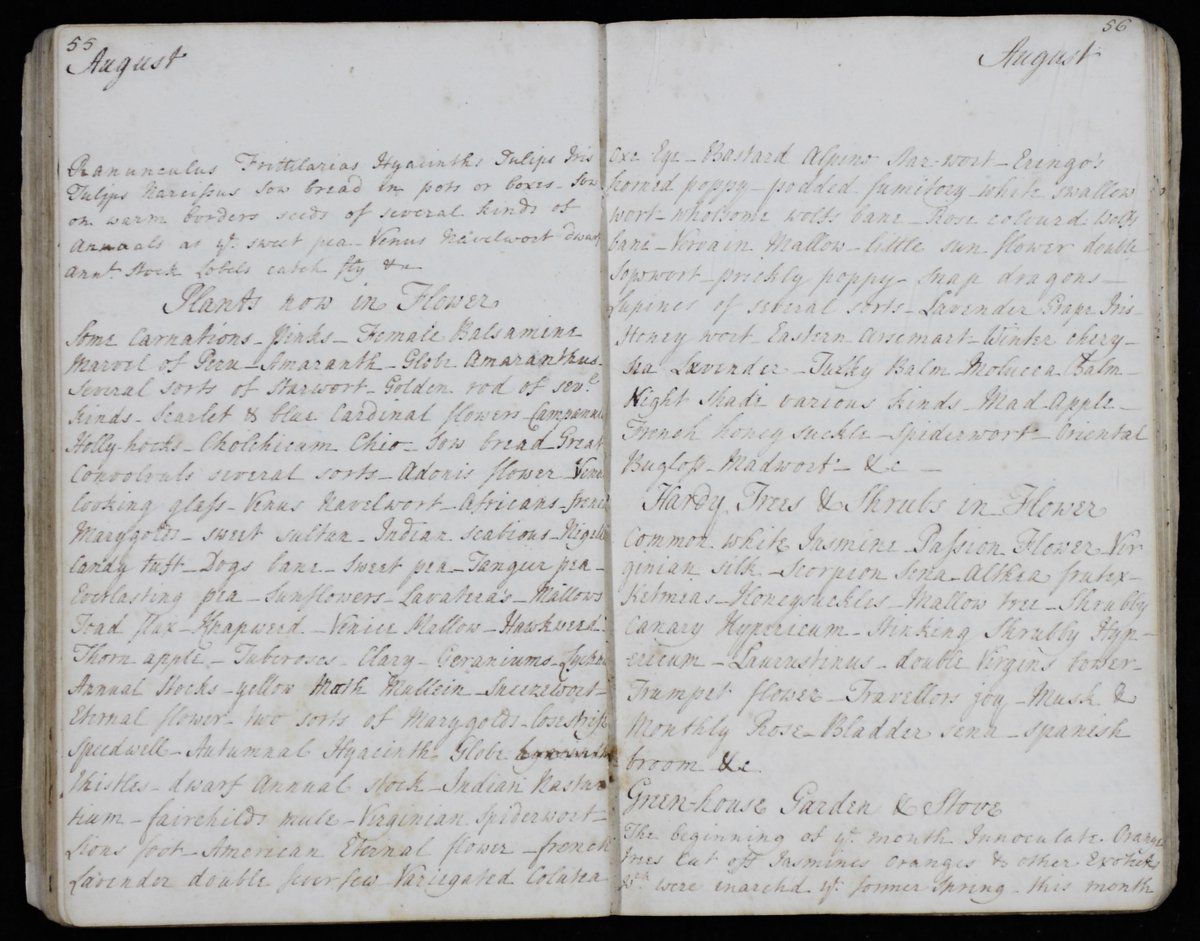 WarwickshireCRO's tweet photo. #DocumentOfTheMonth for August is a gardening diary written by Lady Sophia Newdigate (d.1774). This 18th century document contains a memoranda of gardening tasks to be done at Arbury Hall, Nuneaton.
Read more here: https://t.co/fJpNxDiIme
📸WCRO, CR136/A246
#ExploreYourArchive https://t.co/MP038GjnCl