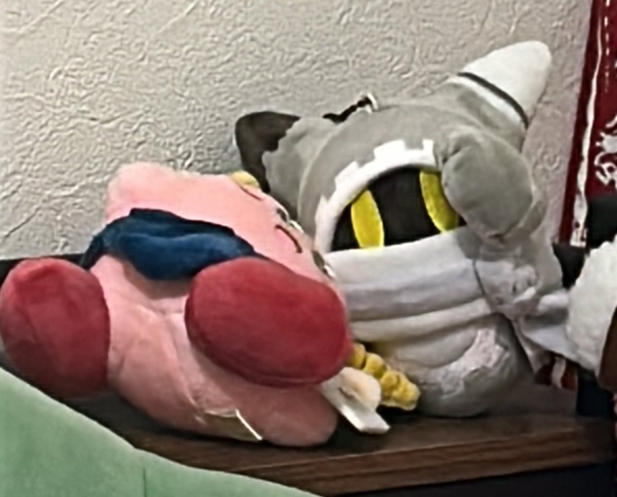 _H_B_N_'s tweet image. コッチ見んなヨ　されてる