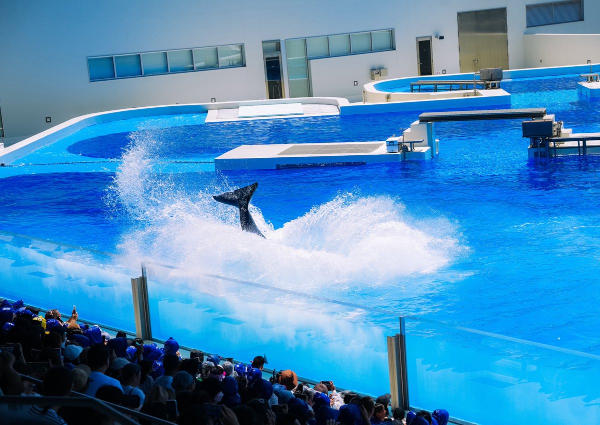 📍 神戸須磨シーワールド