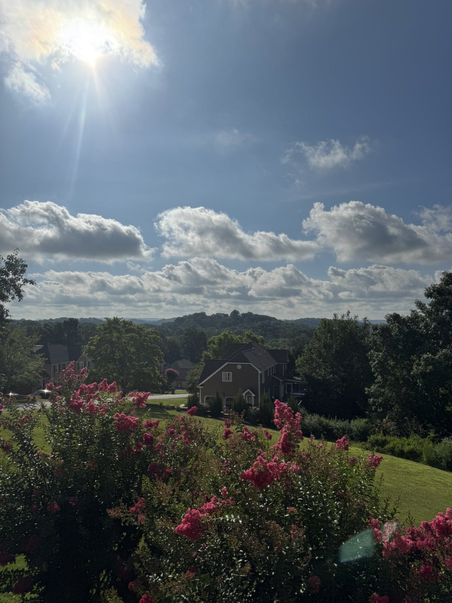ashleyschendelx's tweet image. Good Friday! I have a busy day at work but thank goodness my office is my porch so I can watch the clouds. 😂

Show me your clouds and let me know how your day is going. 👇