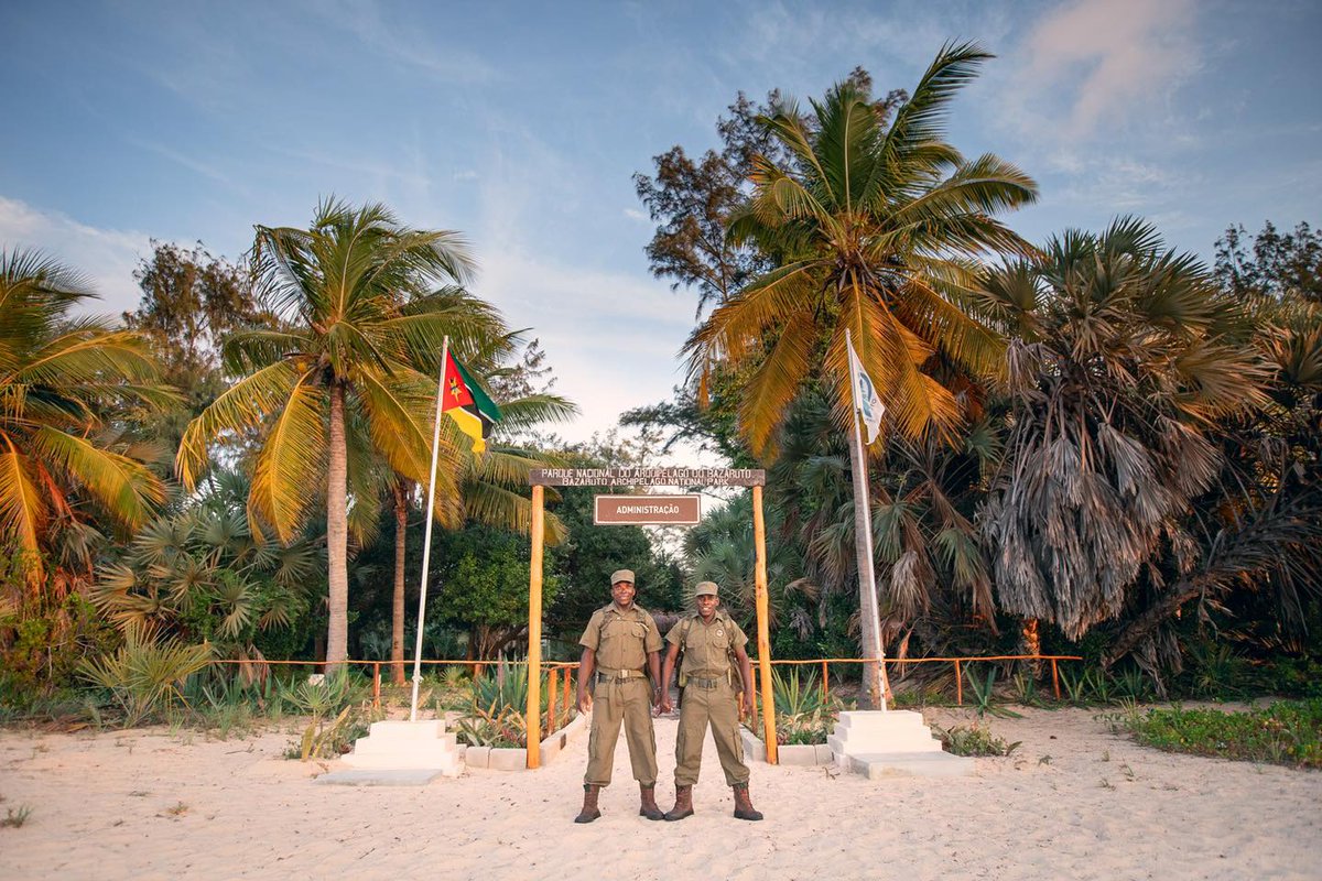 AfricanParks's tweet image. Check, check and check again.
As the eyes and ears of active conservation in Mozambique’s Bazaruto Archipelago, Flora & Fauna Inspectors spend their days monitoring individual species and entire habitats, as well as engaging with tourists and community members. By gathering and…