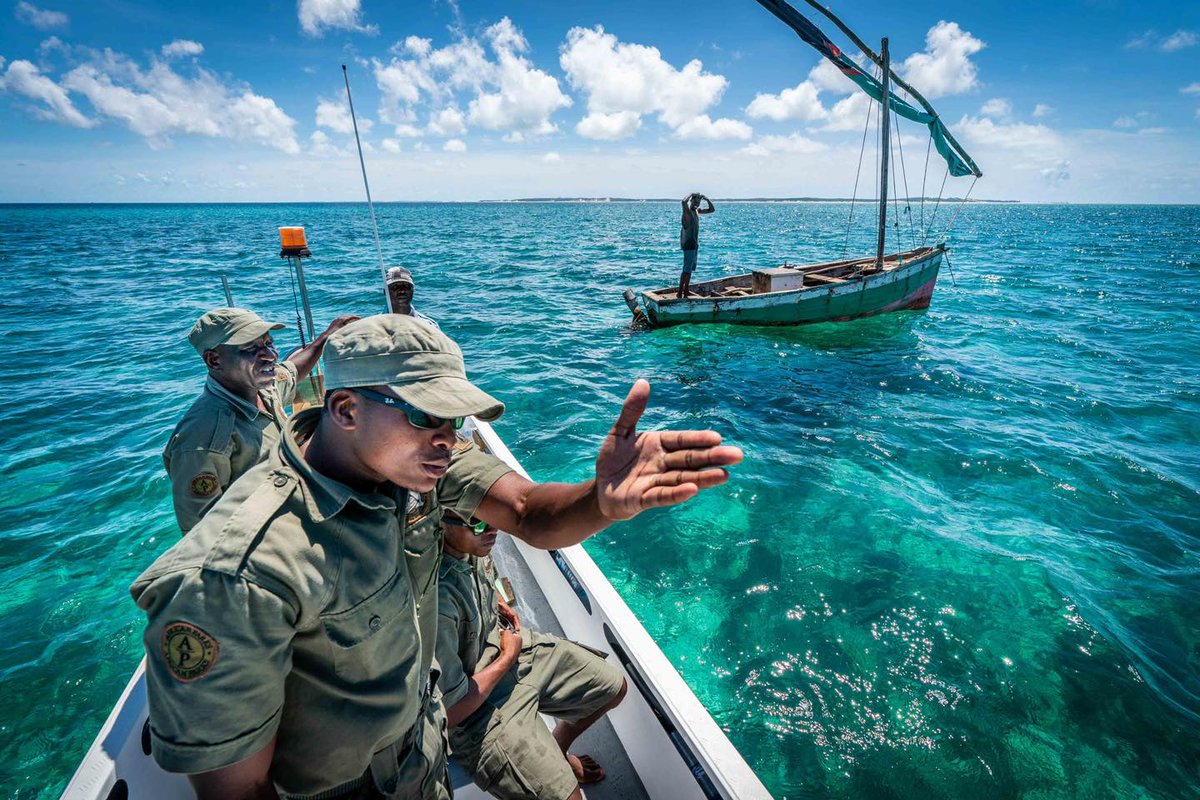AfricanParks's tweet image. Check, check and check again.
As the eyes and ears of active conservation in Mozambique’s Bazaruto Archipelago, Flora & Fauna Inspectors spend their days monitoring individual species and entire habitats, as well as engaging with tourists and community members. By gathering and…