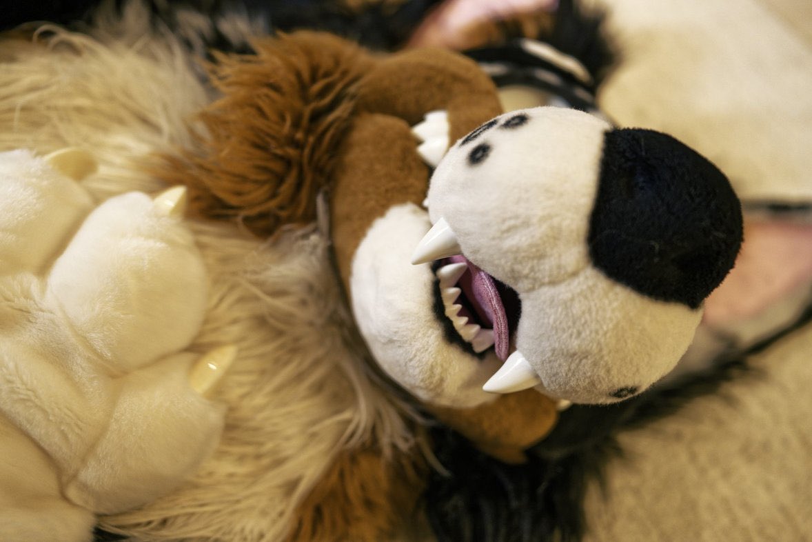 …zzZ

 #FursuitsFriday