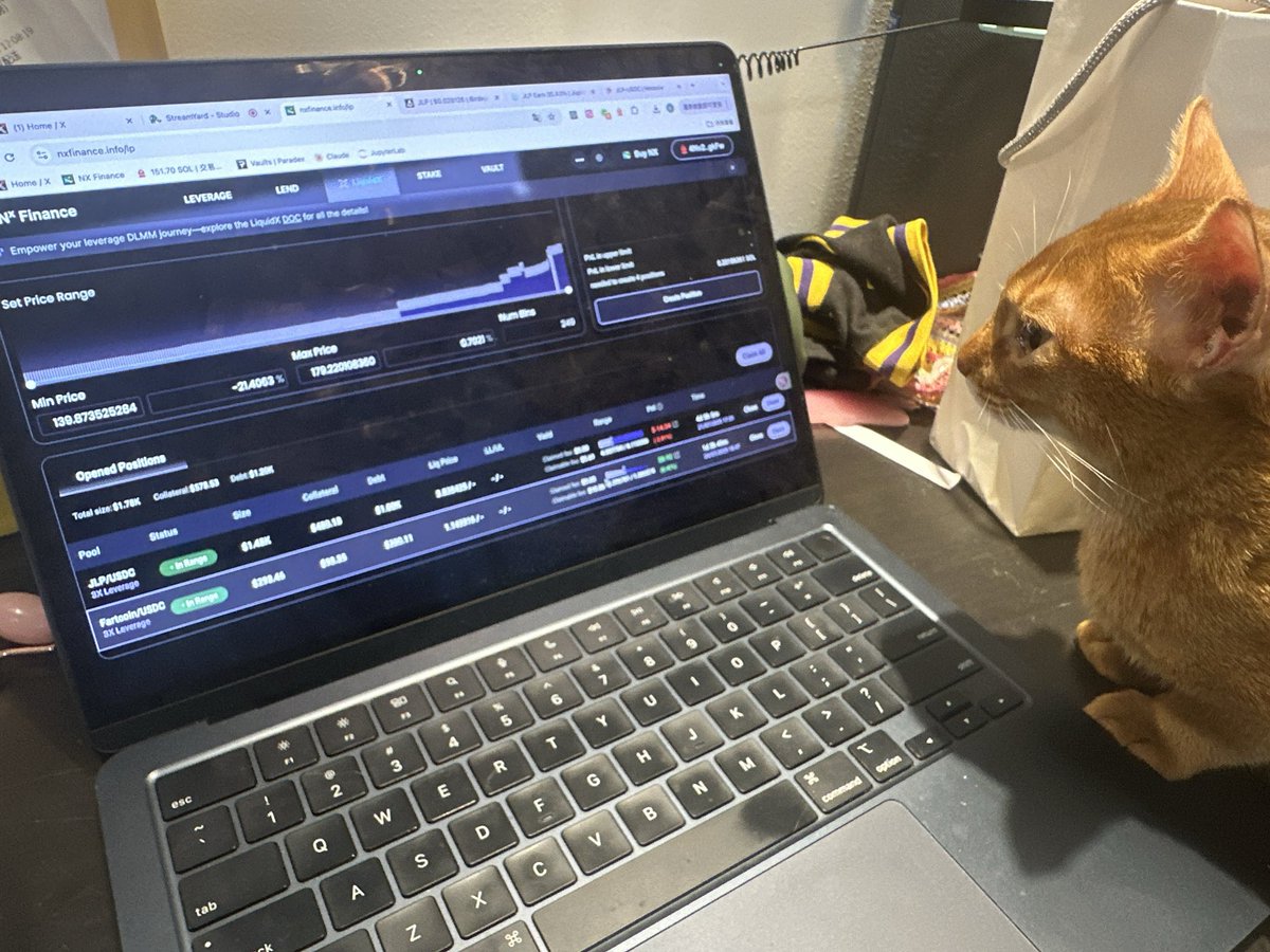 UST_mean's tweet image. Even if you are a cat, you still need to learn how to leverage the @MeteoraAG LP farm in @NX_Finance