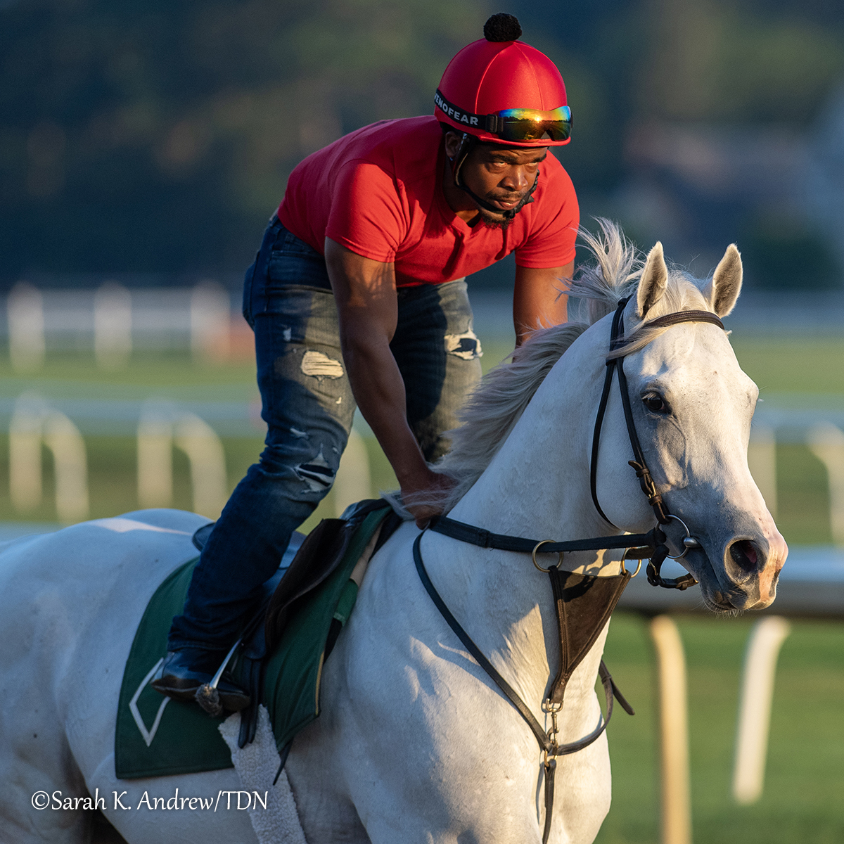 TDN (@thetdn) on Twitter photo Last year's GI Whitney winner ARTHUR'S RIDE (Tapit) makes his long-awaited return Saturday in the fourth race, an allowance going 1 1/8 miles, at Saratoga Race Course ✨ The 5-year-old was last seen finishing 12th in the Nov. 2 GI Longines Breeders' Cup Classic at Del Mar.
In Last year's GI Whitney winner ARTHUR'S RIDE (Tapit) makes his long-awaited return Saturday in the fourth race, an allowance going 1 1/8 miles, at Saratoga Race Course ✨ The 5-year-old was last seen finishing 12th in the Nov. 2 GI Longines Breeders' Cup Classic at Del Mar.
In