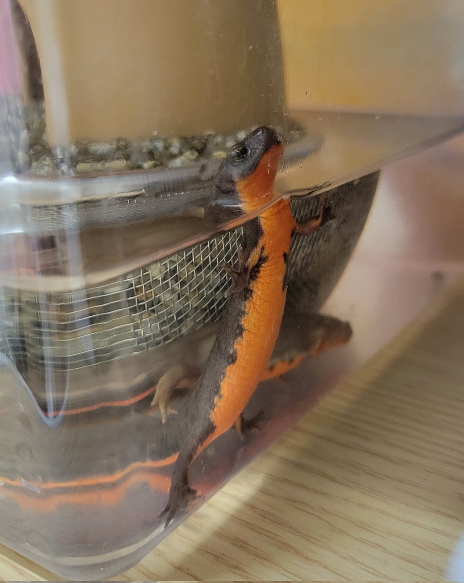 uparupamaru's tweet image. 彼氏のままが味噌汁
作ってくれた\( *´꒳`*)/わーい
そして最近共有カレンダーの
アプリを入れてみたら使ってくれてて
めっちゃかわいいし子供たち
大事にしてくれててうれちい( ᷄ᾥ ᷅ ︎🫶)