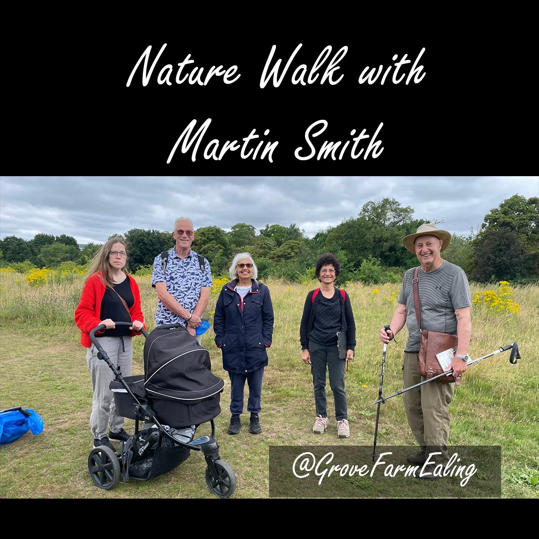 GroveFarmEaling's tweet image. 🌥️ Despite cloudy skies, our Butterfly Walk at Grove Farm was a flutter of joy! 🦋 Martin Smith shared tips: butterflies will close wings when landing; moths don’t. Spotted meadow browns, skippers & more. Nettles mean peacock butterflies soon! 🌿 #NatureLovers #friendsofgrovefarm
