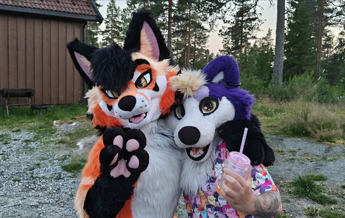 Super rare Drako #FursuitFriday post!!! Finally got a pic with this handsome fjord fox <a href="/Viribus97/">Viribus</a> during Furway 💜