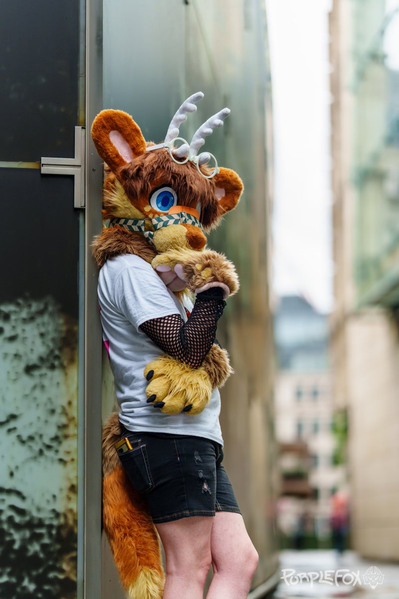 What??? Hmmm? Sorry. Don't mind me. Just can't stop thinking about how cute you all are this #FursuitFriday 

📸- <a href="/PurpleFoxCosmo/">Cosmo</a> 
🪡- <a href="/Minimoise3/">Popcorn Mini</a>