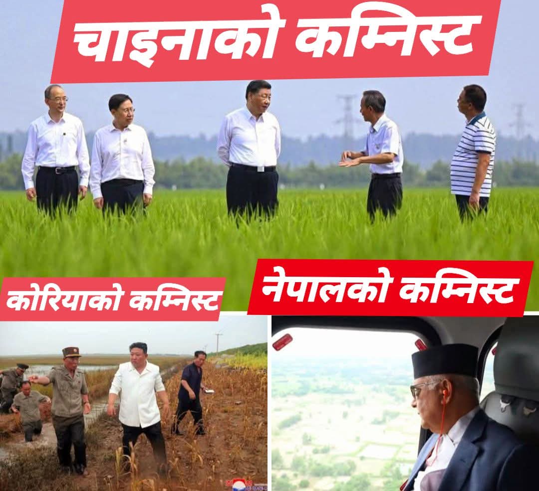somrajpathak3's tweet image. किसानको समस्या बुझ्न हिँडेका कम्निस्ट शाशकहरु:-
 😱  चाइनाको कम्निस्ट _खेतमा  

😱  कोरियाको कम्निस्ट _बारीमा 

😡 नेपालको कम्निस्ट _हेलिकप्टरमा  ....😡😡
अनि उँभो लाग्छ.!?