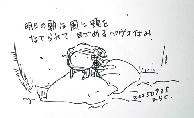 #パヴォ休み 
明日の朝は風に頬を撫でられてる目覚めるパヴォ休み。
Tomorrow morning I will wake up with the wind caressing my cheek. 