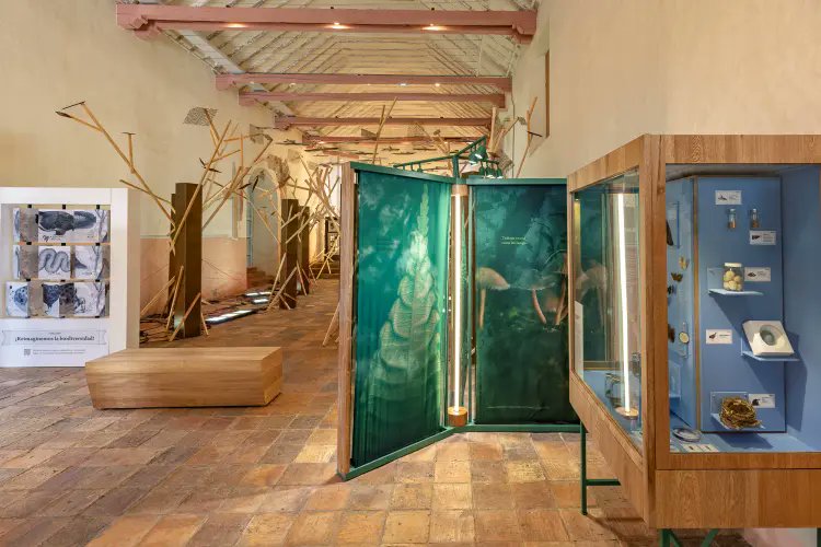 inst_humboldt's tweet image. ¿Ya te enteraste? 😍La exposición 'Biofilia' llega a Villa de Leyva (Boyacá) como protagonista del #Bioverso: Museo de la Biodiversidad de Colombia. ¡Te contamos los detalles!👇 alianzabiofilia.co/divulgacion/bi…