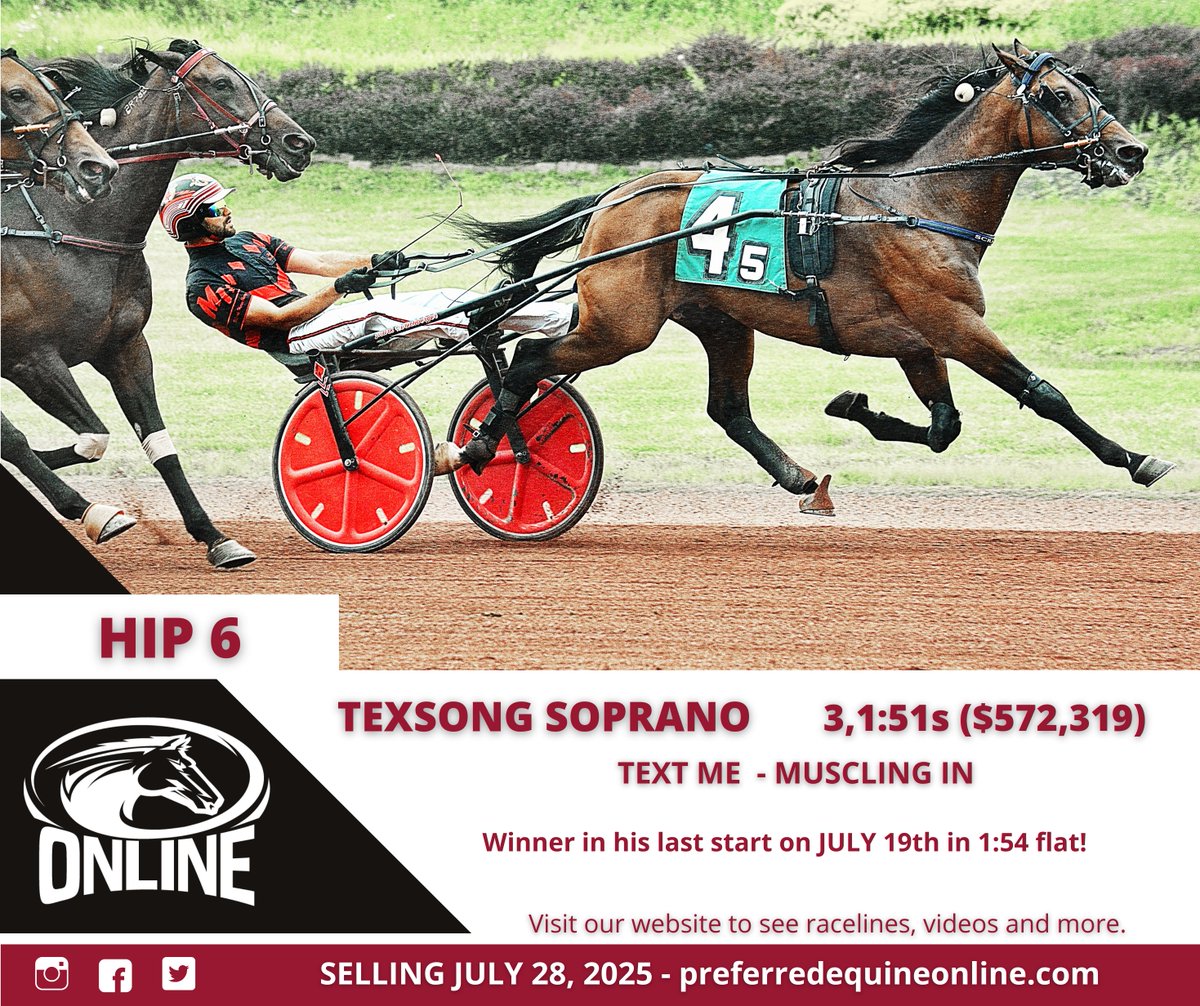 Selling Monday on Preferred Equine Online!

✨Racing and WINNING at the time of entry, this classy trotter won his last start at Pocono in a seasons best 1:54f'-25!. A career winner in excess of $570,000!

⬇️See pedigree, race lines, videos, &amp; more⬇️
bit.ly/TEXSONGSOPRANO