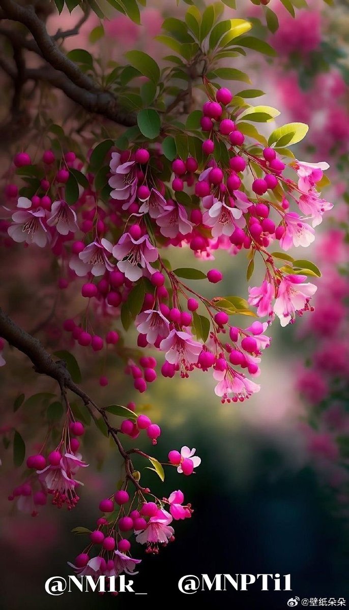 ââ
đ đŠđ¸đ¸đŠđđť đ â
â (@nm3k_) on Twitter photo đľđžđťđťđžđ
#P_PTi đ
°ď¸07
<a href="/NM1k_/">ŕźş đđđľđŹđŹđľđ¨đŻđđ ŕźť</a> <a href="/MNPTi1/">đ đđťđđśđł 𫶠ابŮŘłŮŮ
ââđś</a>
<a href="/Y22NY/">YASEEN</a> <a href="/As40t/">đ đđđđđđŤ</a>
<a href="/IAIT_/">Talat Iqbal</a>
<a href="/IAIJ1_/">Javed Iqbal</a>
<a href="/skiii7i/">S khan</a>
<a href="/NM3k_/">ââ
đ đŠđ¸đ¸đŠđđť đ â
â</a>
<a href="/P_PTi3/">đ_đđđ˘ _đ đđđđđđđđ</a>
<a href="/dre_nt/">Danâď¸đ˛</a>
<a href="/P_PTi4/">Nosheen Aurangzaib</a>
<a href="/ksad_3/">K. Saad đľđ°</a>
<a href="/shZ447/">đđđđđŤđđ đđŚđđđŁ</a>
<a href="/sam_5as/">Aslam Sameer</a>
<a href="/OdriSeva/">Odri Seva</a>
<a href="/S2_CarlaS2/">ę§ŕźşCarlaŕźťę§#EliFriendsââ
âźâ</a>
đĽ<a href="/00munsif/">ابŮŘłŮŮ
đđŽđ§đŹđ˘đ đđĽđ˘</a>
đĽ<a href="/zubm9231/">ZUBAIR Muhammad</a>
â <a href="/samijan_1/">đŚŘšŮ
عا٠Ů
Űعا ŘŹŮŮŮđŚ</a>
<a href="/Owais_khan619/">Owais_khan619</a>
<a href="/PTIJAPANNNNN/">PTI JAPANđľđ¸â¤ď¸#804</a>
<a href="/ShaguftaMansoo9/">Mrs.SM</a>
<a href="/KamranA17555180/">ISF Sindh Official đ§đŤ</a>
<a href="/NM2k__/">ÄąllÄąllÄą đ¸ NÍEÍEÍNÍAÍHÍ đ¸ ÄąllÄąllÄą</a> <a href="/_MaryEly_/">đ đá MaryElyđť</a> đľđžđťđťđžđ
#P_PTi đ
°ď¸07
<a href="/NM1k_/">ŕźş đđđľđŹđŹđľđ¨đŻđđ ŕźť</a> <a href="/MNPTi1/">đ đđťđđśđł 𫶠ابŮŘłŮŮ
ââđś</a>
<a href="/Y22NY/">YASEEN</a> <a href="/As40t/">đ đđđđđđŤ</a>
<a href="/IAIT_/">Talat Iqbal</a>
<a href="/IAIJ1_/">Javed Iqbal</a>
<a href="/skiii7i/">S khan</a>
<a href="/NM3k_/">ââ
đ đŠđ¸đ¸đŠđđť đ â
â</a>
<a href="/P_PTi3/">đ_đđđ˘ _đ đđđđđđđđ</a>
<a href="/dre_nt/">Danâď¸đ˛</a>
<a href="/P_PTi4/">Nosheen Aurangzaib</a>
<a href="/ksad_3/">K. Saad đľđ°</a>
<a href="/shZ447/">đđđđđŤđđ đđŚđđđŁ</a>
<a href="/sam_5as/">Aslam Sameer</a>
<a href="/OdriSeva/">Odri Seva</a>
<a href="/S2_CarlaS2/">ę§ŕźşCarlaŕźťę§#EliFriendsââ
âźâ</a>
đĽ<a href="/00munsif/">ابŮŘłŮŮ
đđŽđ§đŹđ˘đ đđĽđ˘</a>
đĽ<a href="/zubm9231/">ZUBAIR Muhammad</a>
â <a href="/samijan_1/">đŚŘšŮ
عا٠Ů
Űعا ŘŹŮŮŮđŚ</a>
<a href="/Owais_khan619/">Owais_khan619</a>
<a href="/PTIJAPANNNNN/">PTI JAPANđľđ¸â¤ď¸#804</a>
<a href="/ShaguftaMansoo9/">Mrs.SM</a>
<a href="/KamranA17555180/">ISF Sindh Official đ§đŤ</a>
<a href="/NM2k__/">ÄąllÄąllÄą đ¸ NÍEÍEÍNÍAÍHÍ đ¸ ÄąllÄąllÄą</a> <a href="/_MaryEly_/">đ đá MaryElyđť</a>