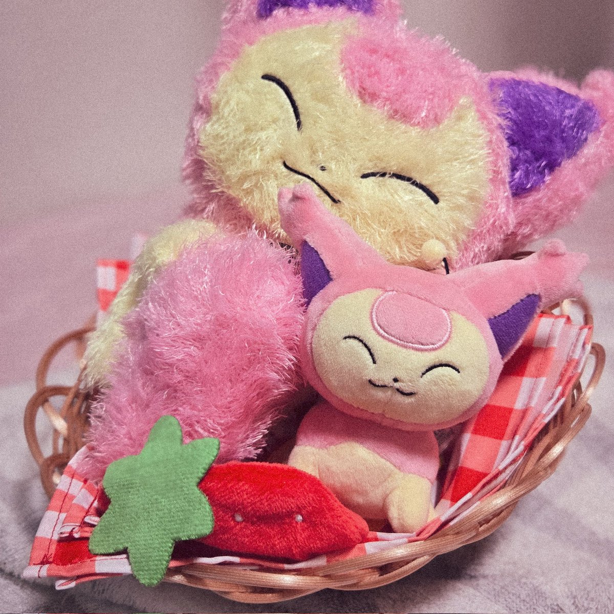 _gyocar's tweet image. エネコちゃん...