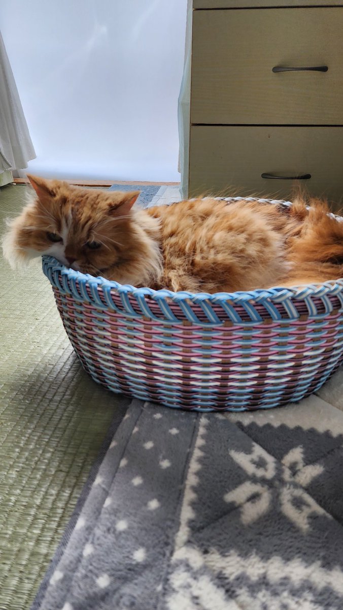 毎日暑い🥵
ねー、潤ちゃん❤︎