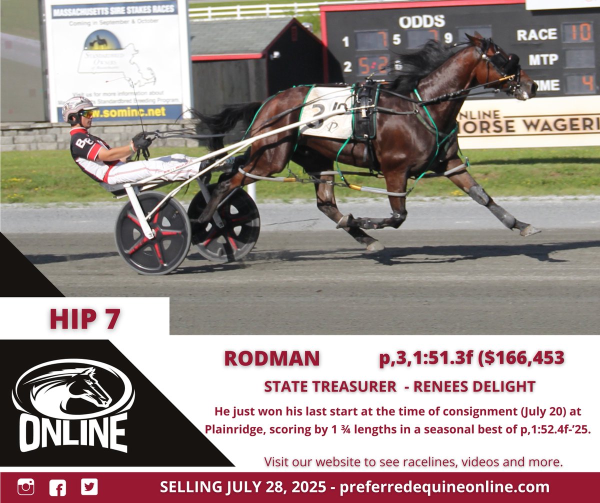 Selling Monday on Preferred Equine Online!

✨This stakes placed 5-year-old gelding by STATE TREASURER is a winner of over $24,000 in 2025, boosting his career earnings to over $166,000. 

⬇️See pedigree, race lines, videos, &amp; more⬇️
bit.ly/0728RODMAN