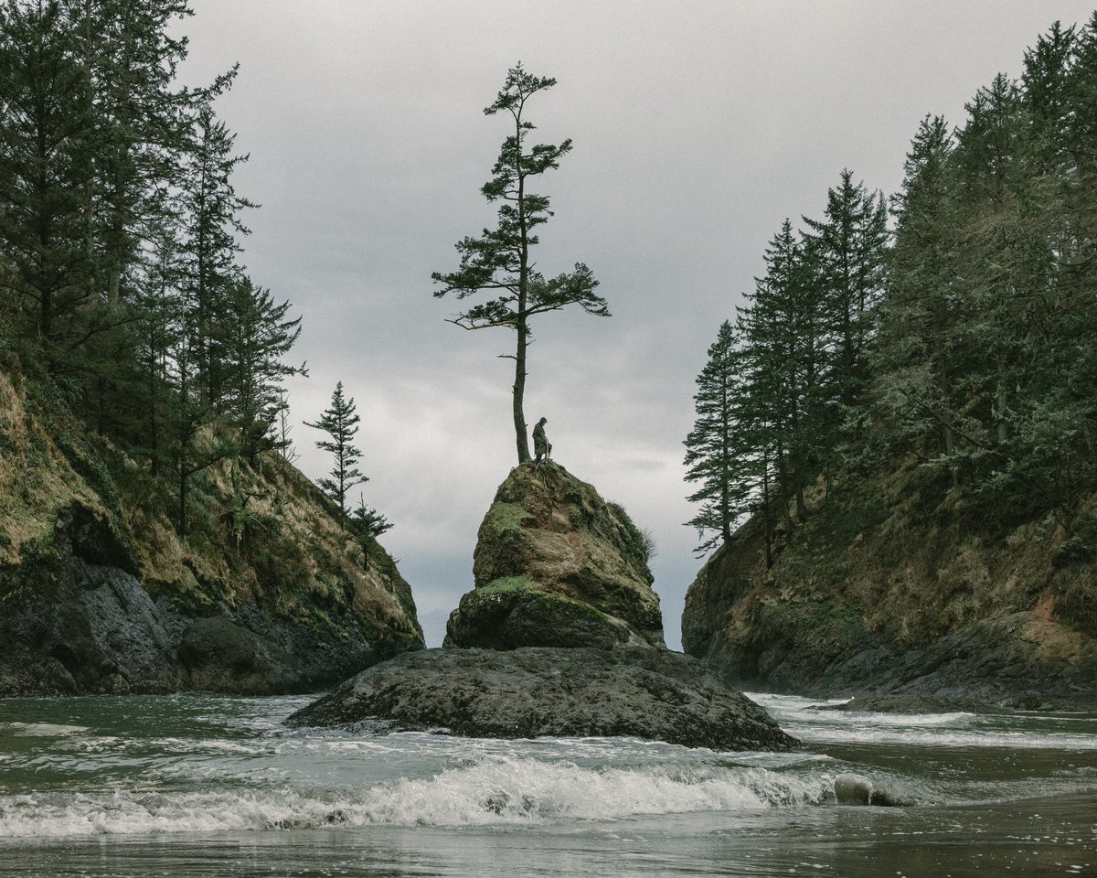 burtoo's tweet image. Vanisher by @Quadeca out today. Thankful for the opportunity to help bring this album to life across four seas and an endless horizon
