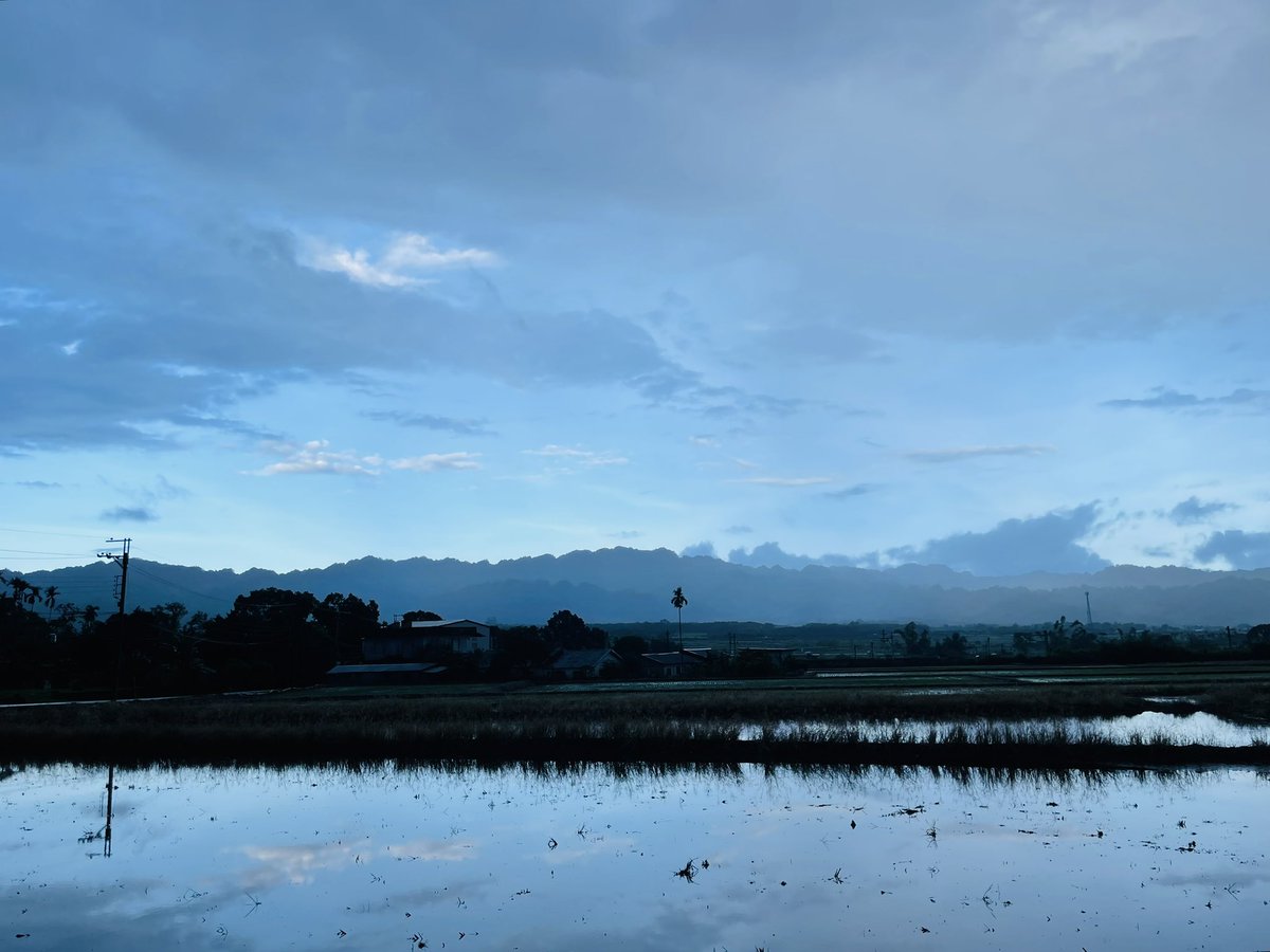 rewoIf's tweet image. 我愛我那小小多山的國家

#726大罷免大成功 
#出門投票
