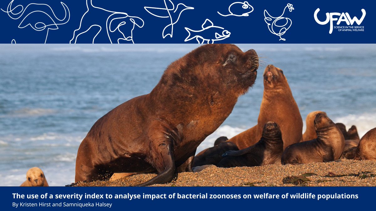 AW_TheJournal's tweet image. π NEW STUDY explores how bacterial zoonoses affect the welfare of wildlife species. Using a severity index, the study quantifies disease impacts across multiple host-pathogen relationships.
π Read the full article here: ow.ly/MExb50Wvee5
#AnimalWelfareScience