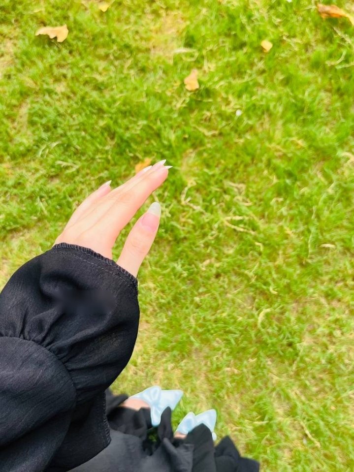 _665Q's tweet image. إمسك بقاياك يڪفي مِنكَ ما وقع..🦋