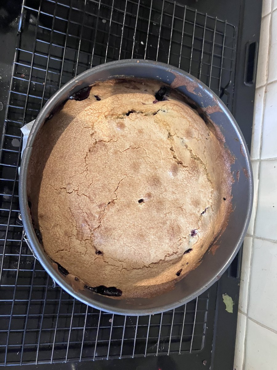 PiperSprocks's tweet image. Yoo haz made anuthur tastee cayke. It is full of BlakBerrees
I luv BlakBerrees.
Is too high for me to reach…
Pfft