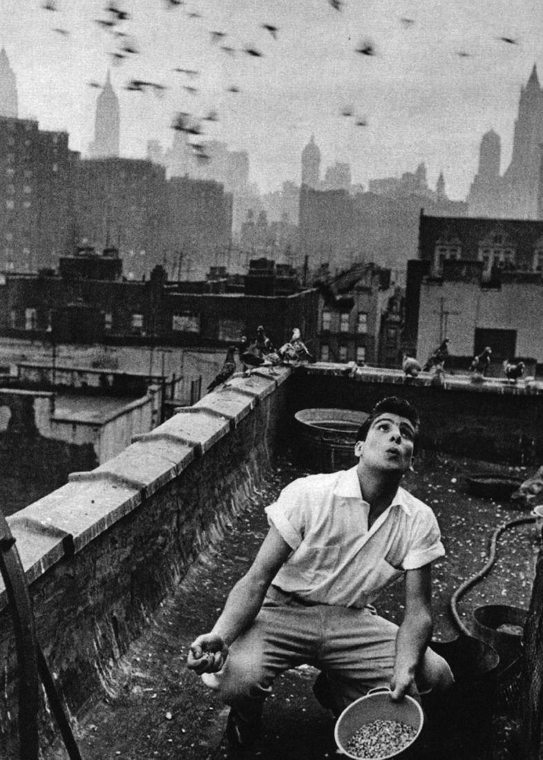 deryainciderya's tweet photo. Bruce Davidson

Pigeons, NYC, 1960 https://t.co/D3QrCoOQXm