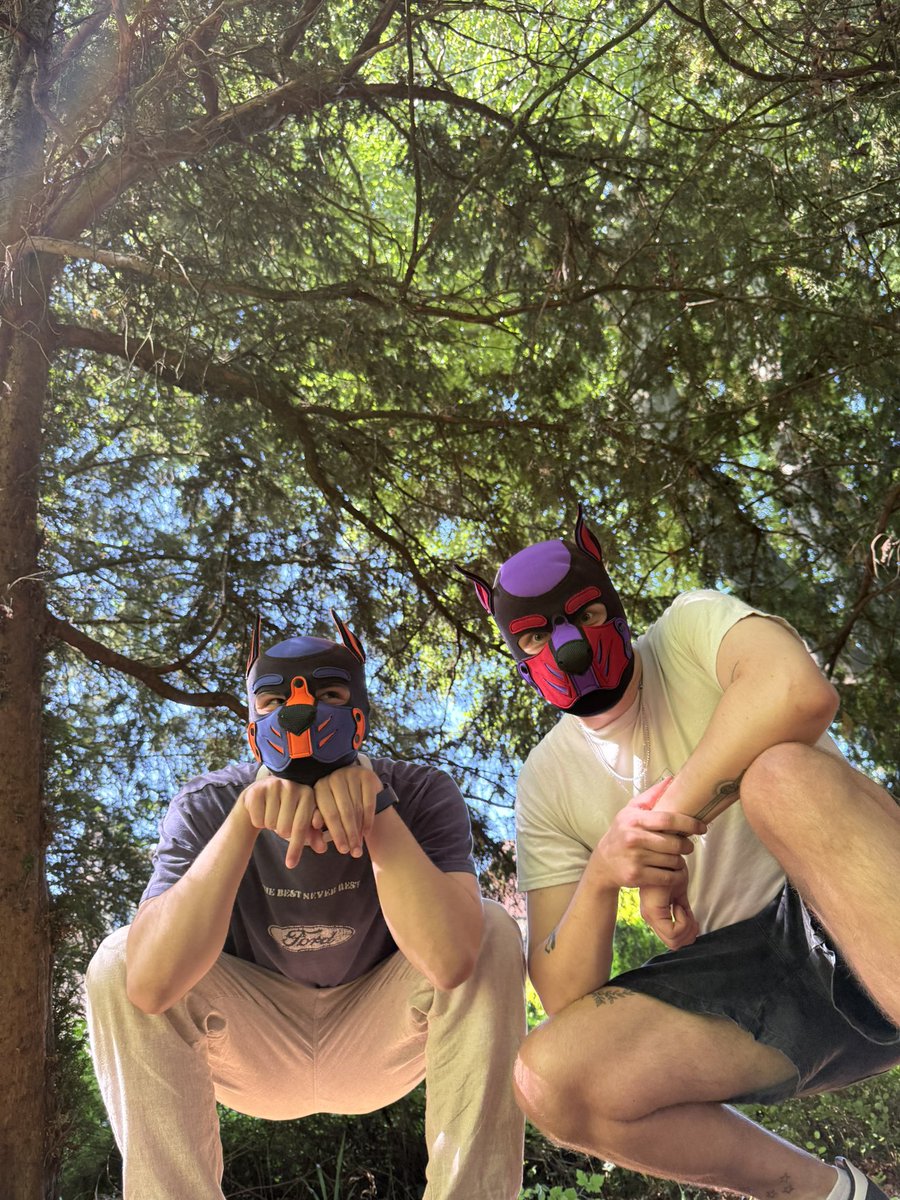 let us know if you see the dog catcher
<a href="/pup_nameless/">Nameless Pup 🔜 Doggy Weekend</a>