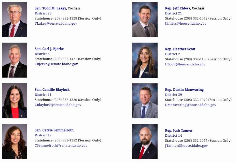 IdahoYRs's tweet photo. Great to see some IdahoYRers on the Idaho DOGE Task Force, that will host it's first meeting this afternoon at 2 pm mtn. 

Register to testify here

https://t.co/nMrSM6RZf6

Watch the livestream here 

https://t.co/r0FwwAtUmr

#idpol #idleg #youngrepublicans #YRsLead #younggop https://t.co/GrYHfrdQUS