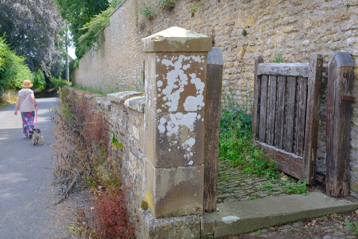 WaltonBob's tweet image. The Vale of Pickering has a history of quarrying limestone & calcareous sandstone, which are seen used in farm field walls & in buildings - like here at Hutton Buscel, a North York Moors National Park conservation village, at the vale's eastern end outside Scarborough.