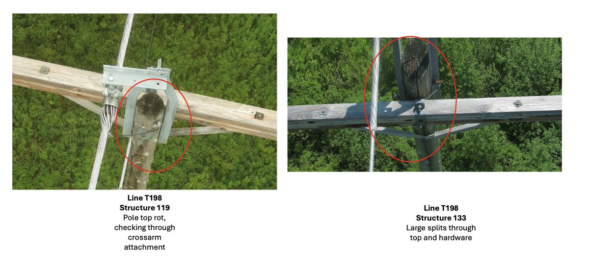 Halcyon_alerts's tweet image. July 25 #chartoftheday
Relentless woodpecker attacks, pole top rot, and giant splits are just a few reasons Eversource told ISO-NE it needs to replace transmission poles on Lines S153 & T198.
The birds are winning.
NH’s grid is held together by chewed-up lumber.
Yes, there are…